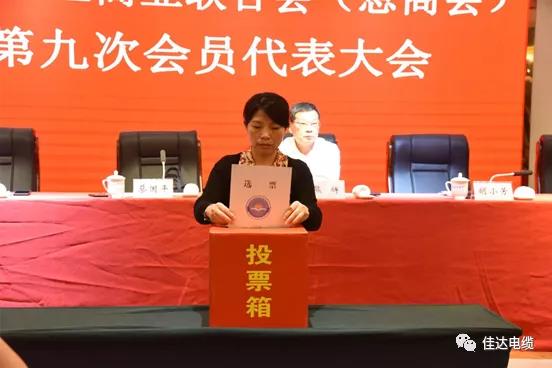秋葵视频黄下载电缆有限公司,秋葵视频黄下载电缆,湖南秋葵视频黄下载，